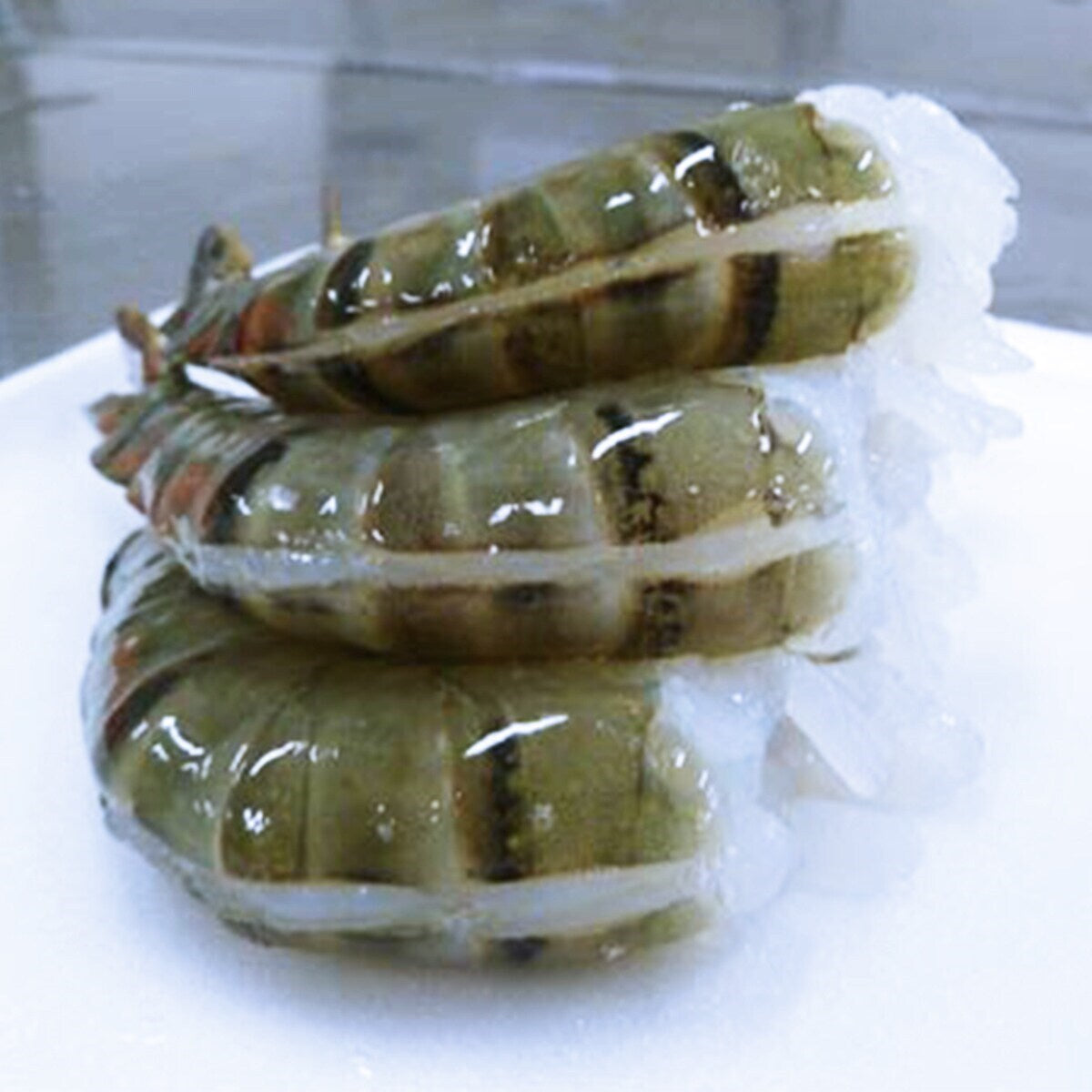 ❄️【CRAIG】野生去头开背超大老虎虾 8/12