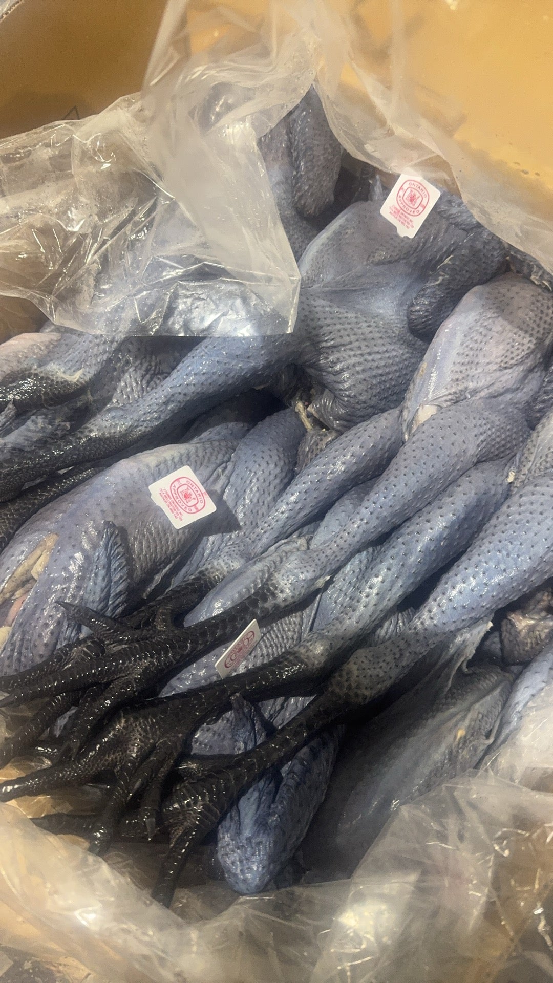 ❄️【Local】Fresh black-bone chicken