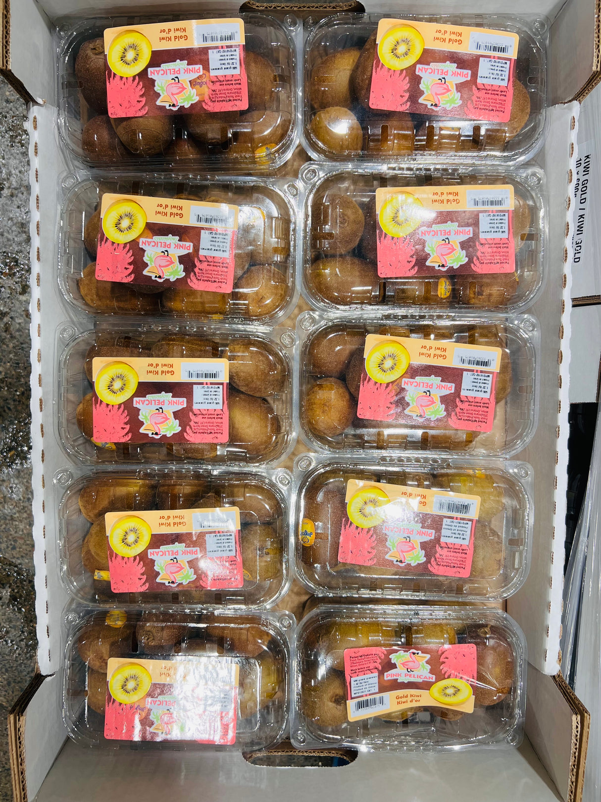 【JINGOLD】黄金猕猴桃