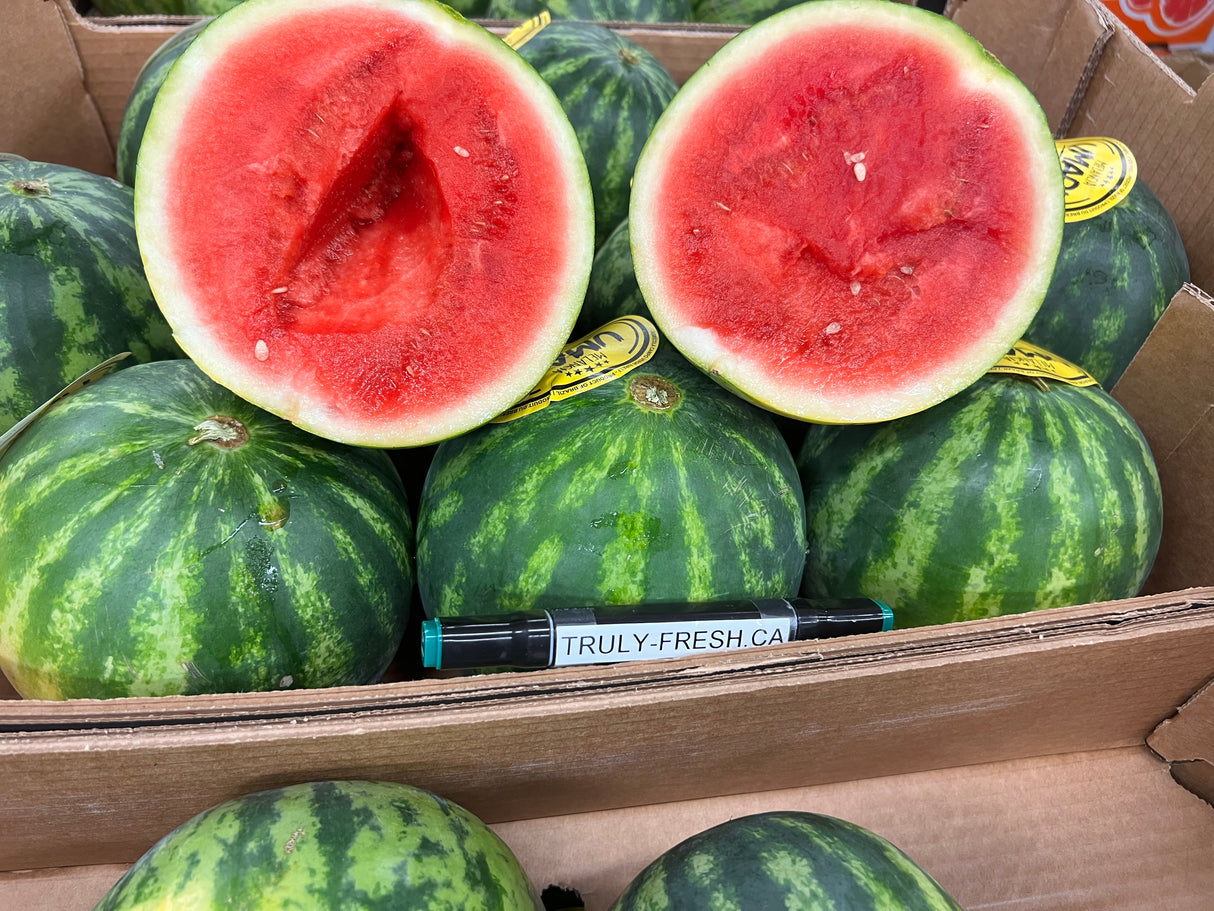 【美国】小西瓜