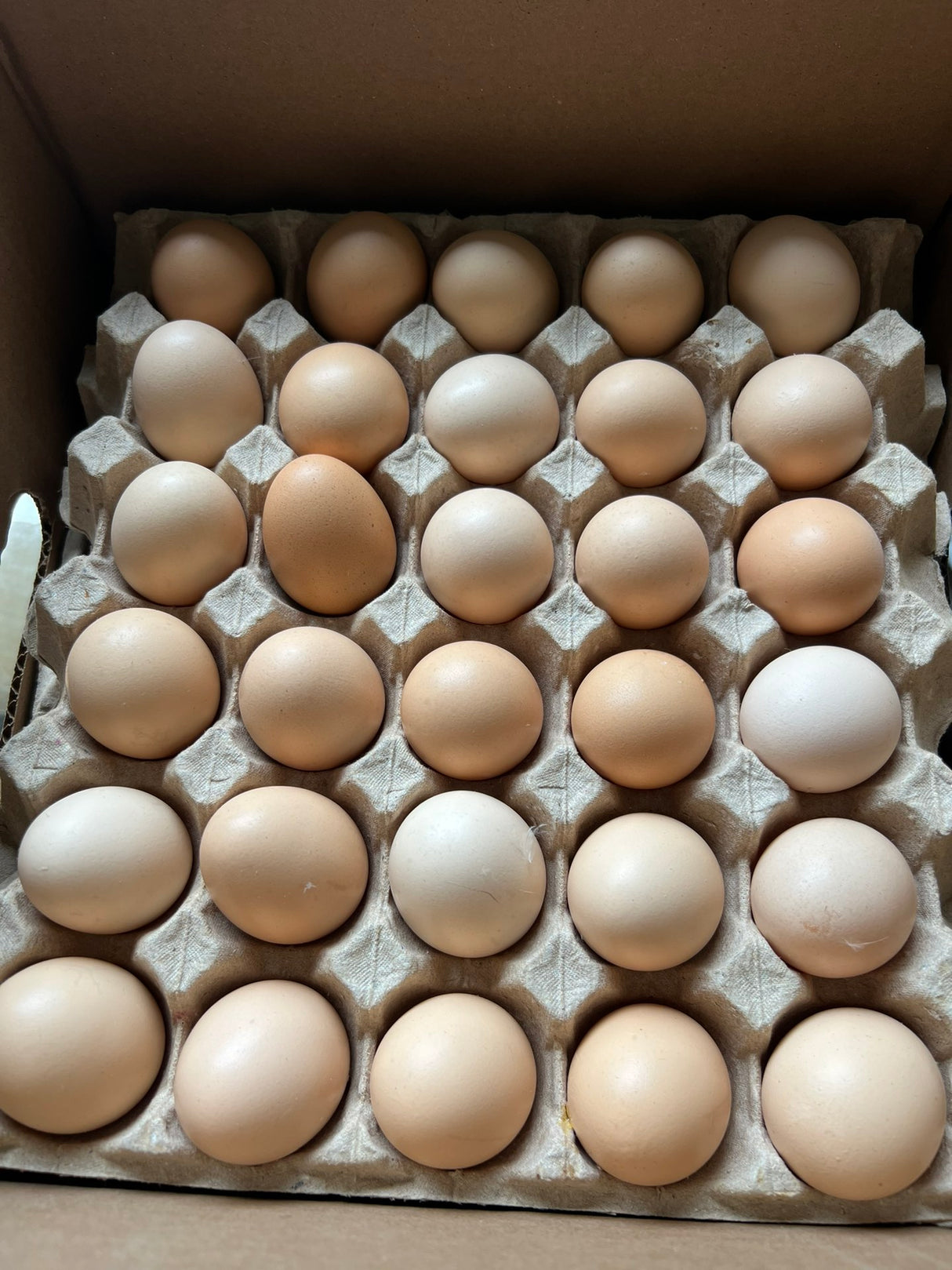 【Local】Farm free range eggs Medium Brown 1 box 180 pieces
