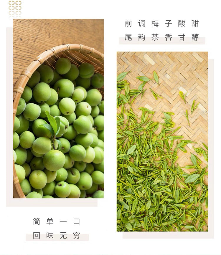 Special Offer: 【Daliyuan】Plum Green Tea 500ml * 15