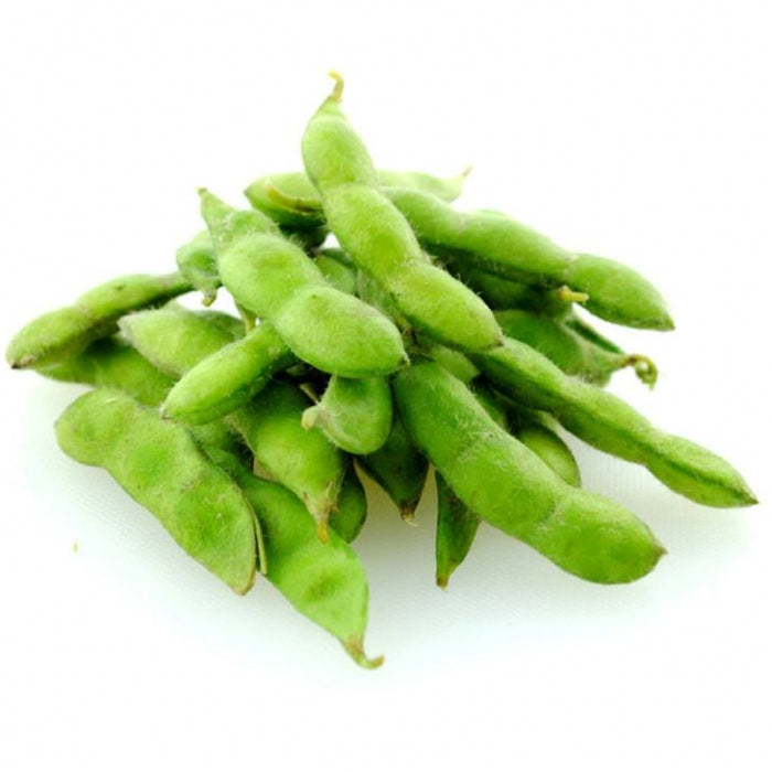 ❄️【锦鲤】毛豆荚