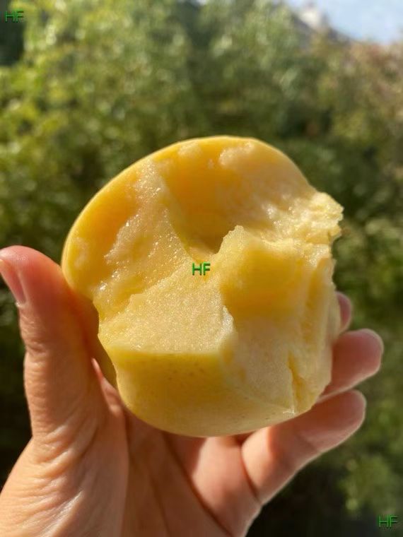 【中国胶东】冬恋苹果礼盒 2.25公斤