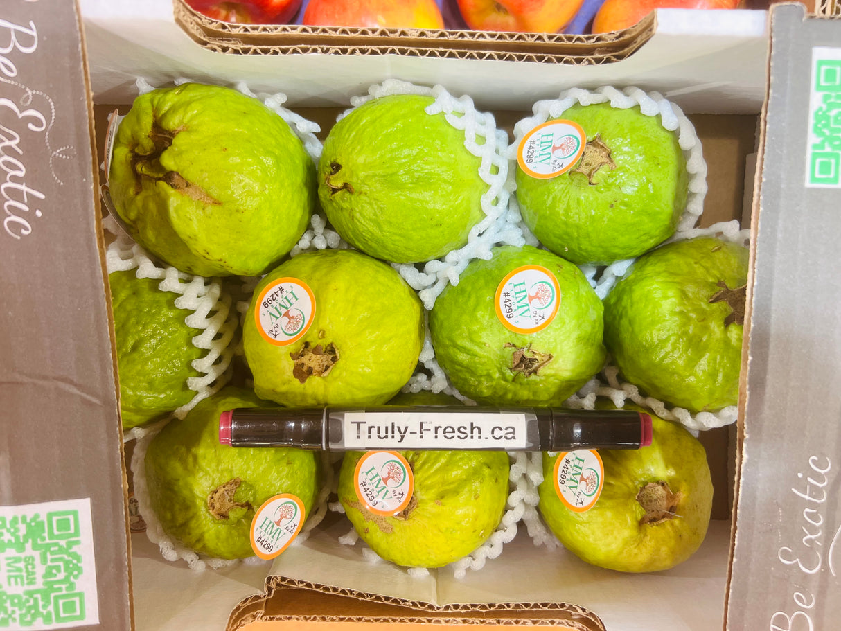 【Brazil】Red Heart Guava 1 Box 2kg