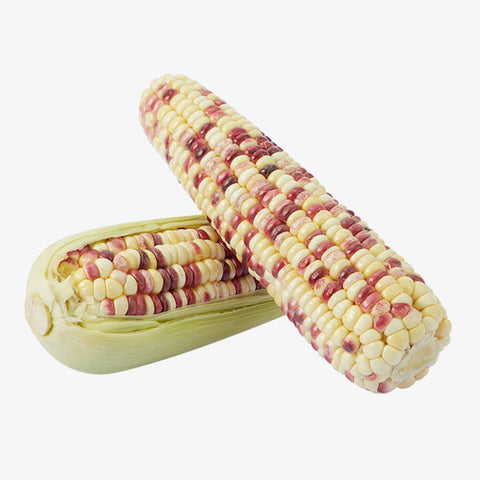 特价【本地】新鲜糯玉米 10根