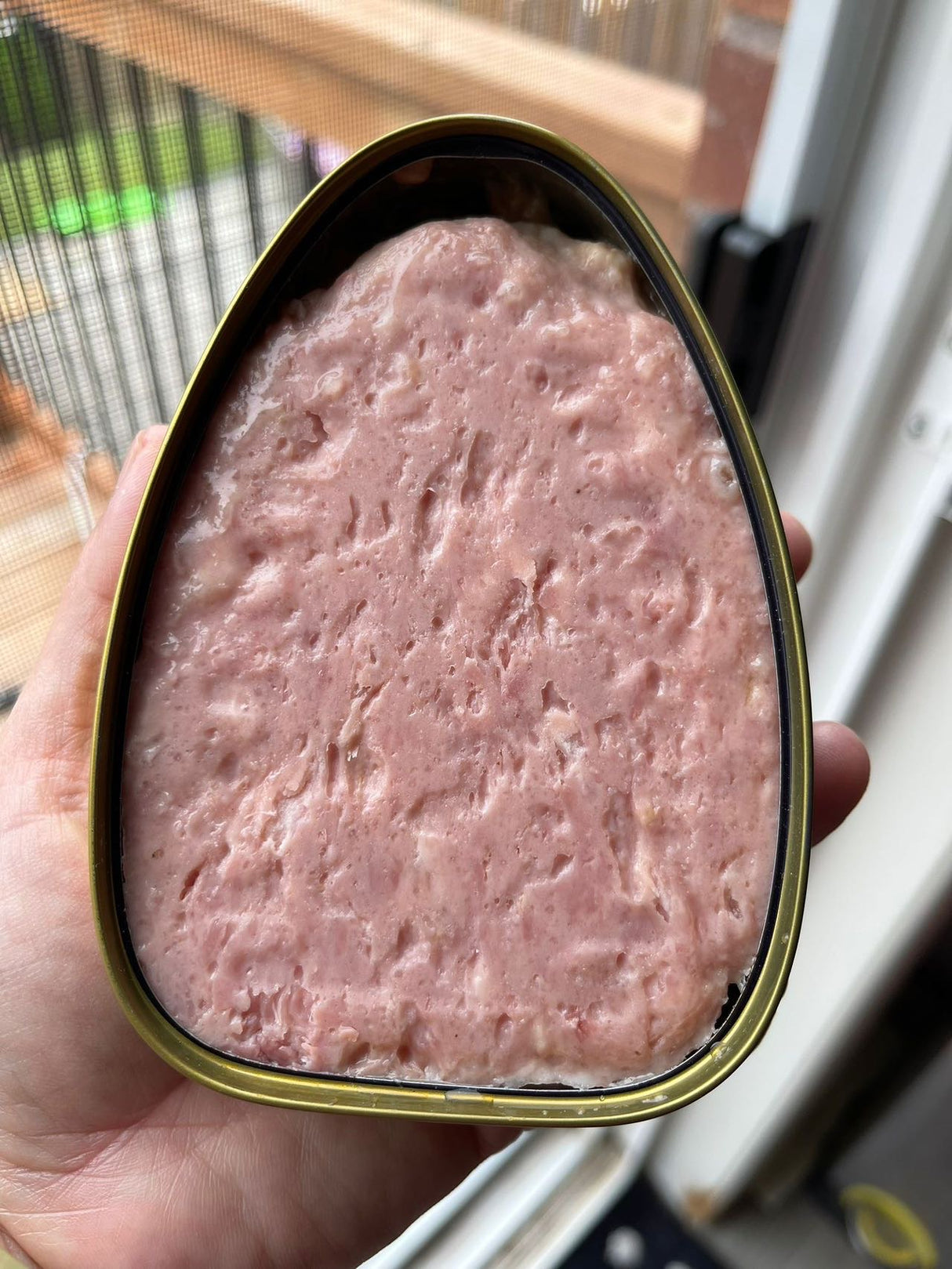 【Gaoyun】Iberico pork luncheon meat 200g*4