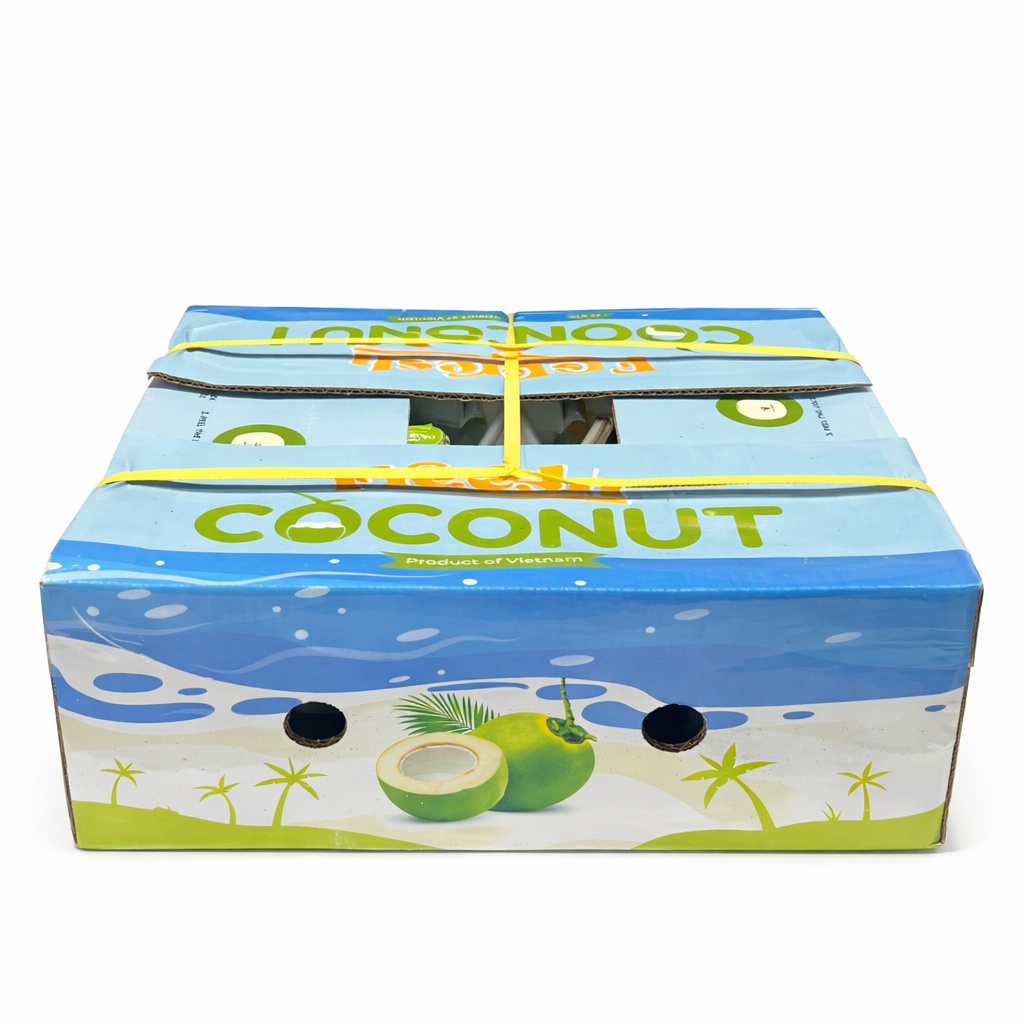 【越南】吸管大椰青 9size