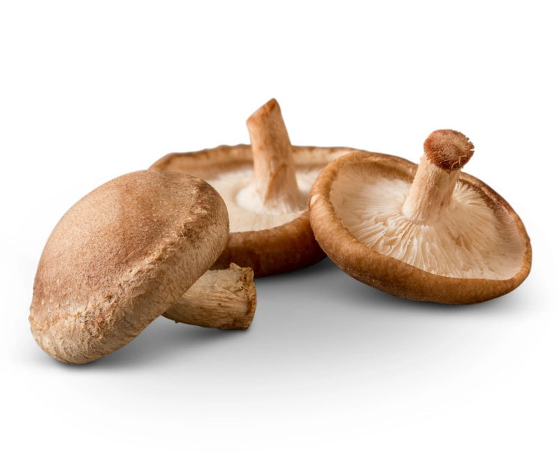 【Local】Organic Shiitake Mushrooms 1 Box 3 Pounds