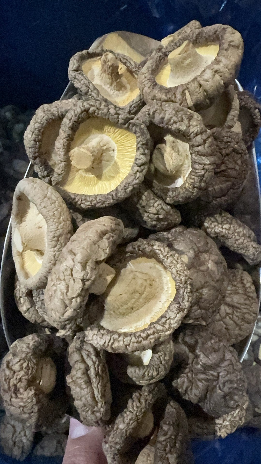 【美地农场】有机香菇