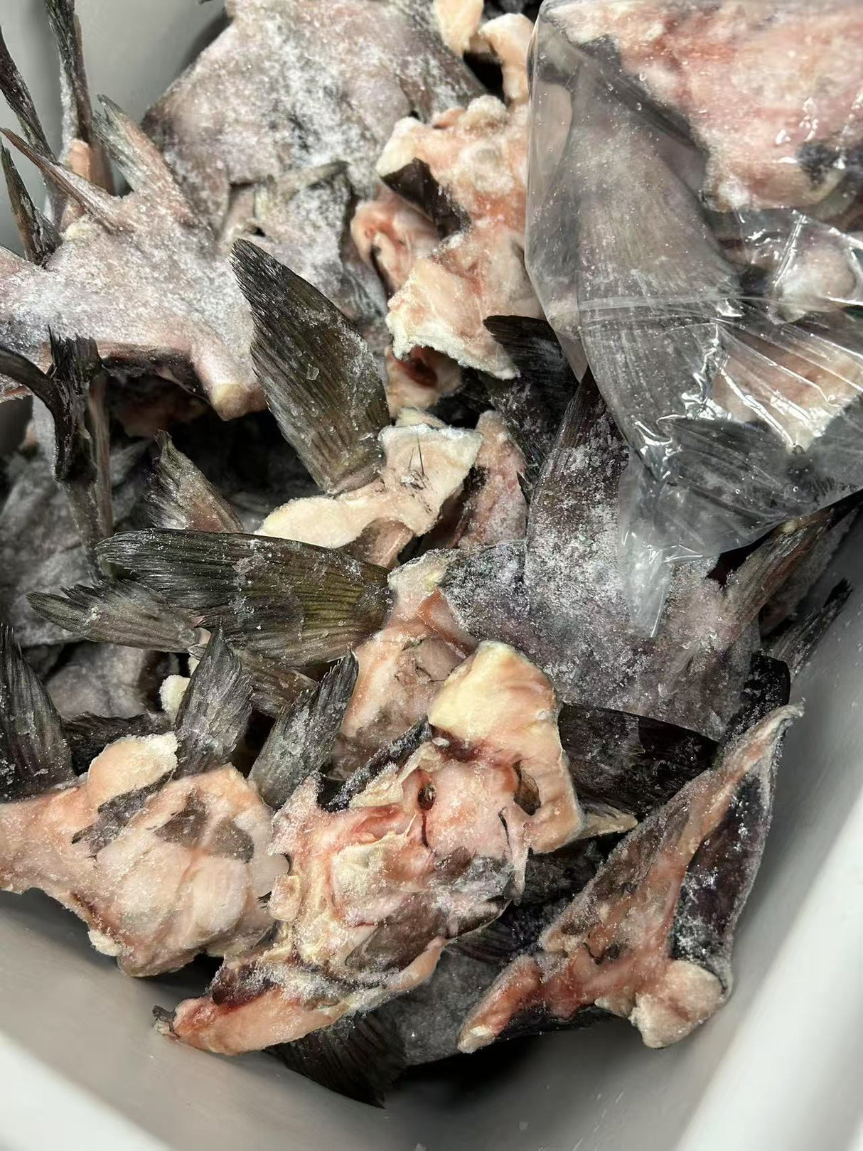 ❄️【加拿大】野生黑鳕鱼下巴