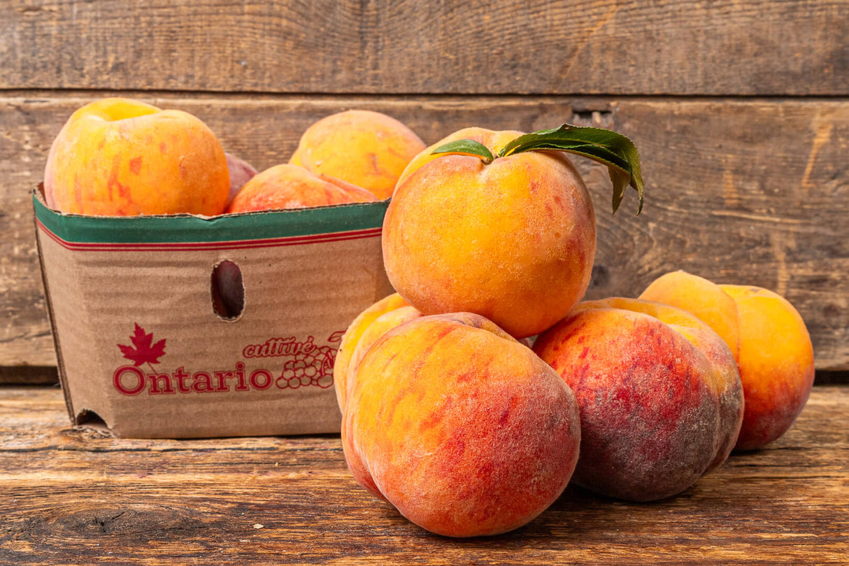 【Local】Golden Peach 6 pounds