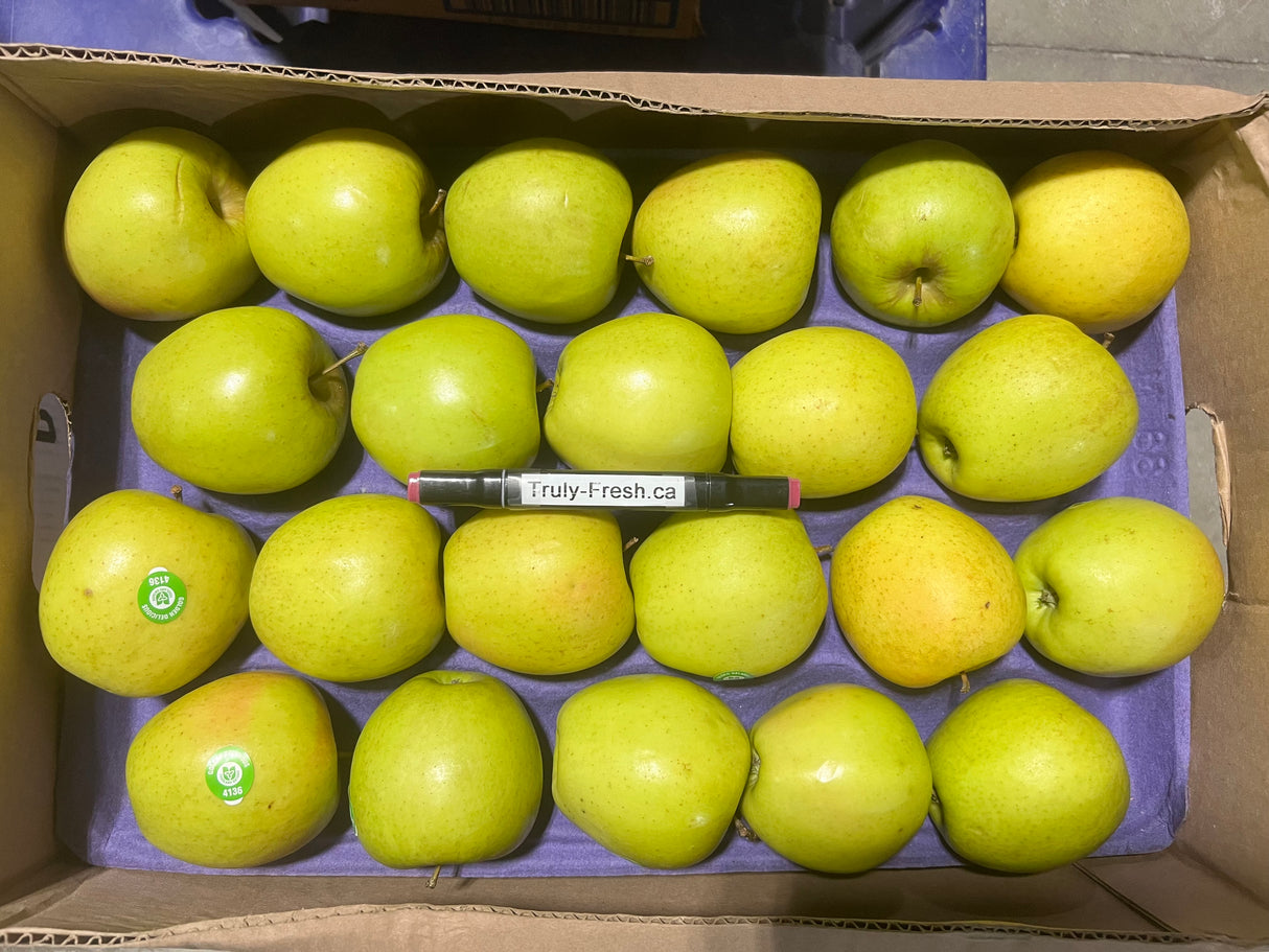 【Local】Yellow Marshal Apple