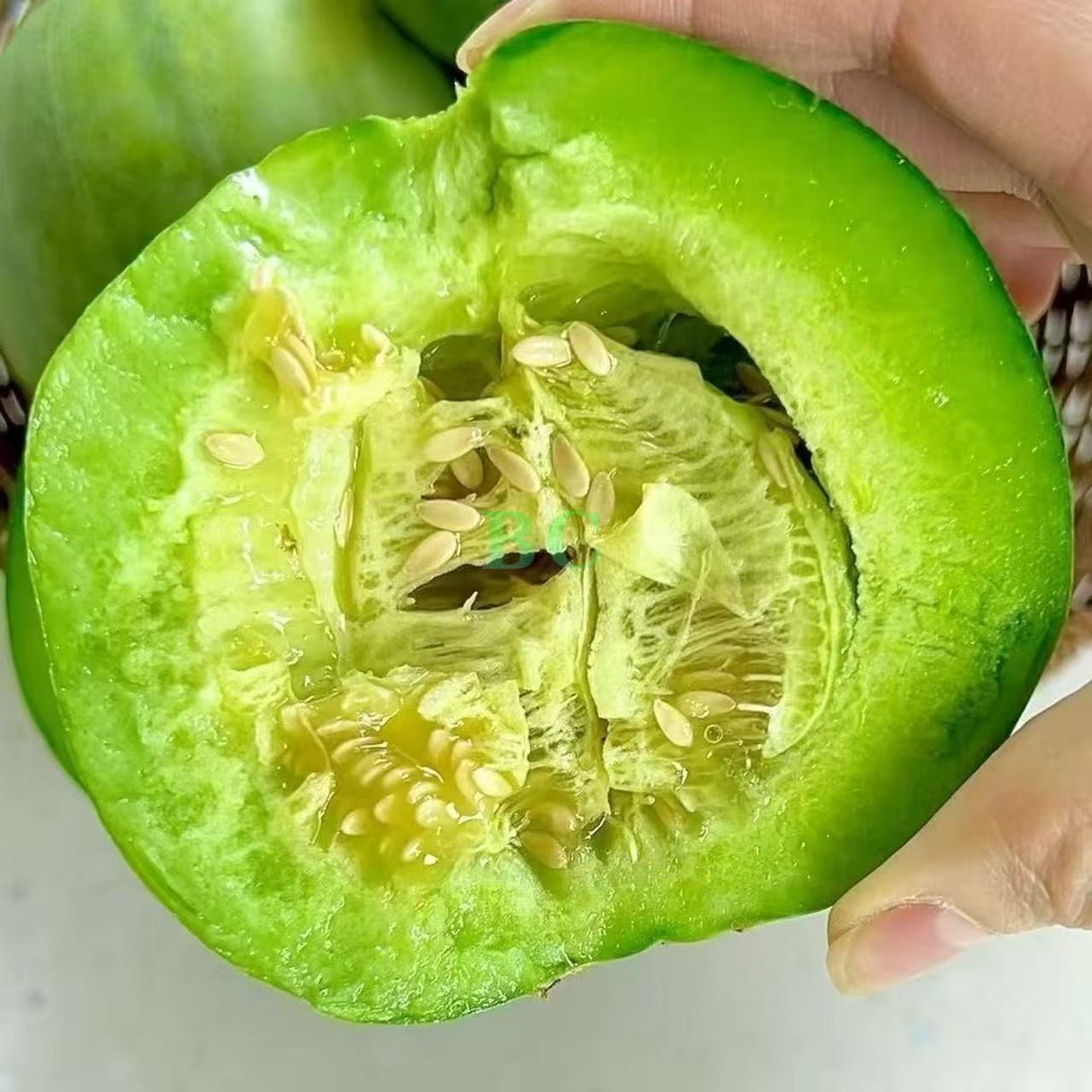 【Local】Emerald Honeydew Melon 5 pounds