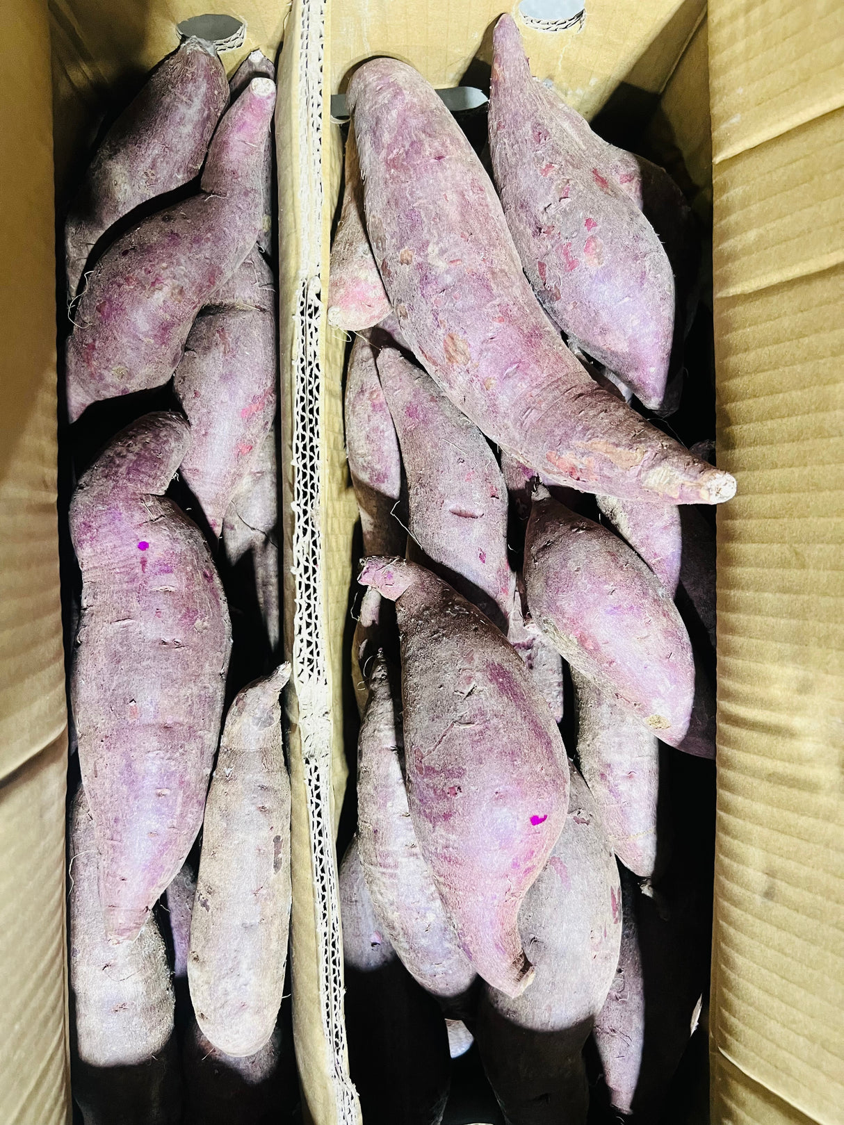 【中国】紫芯番薯