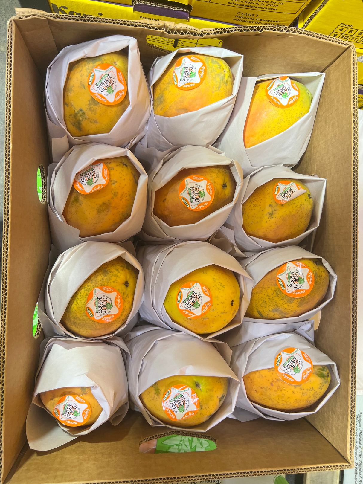 【墨西哥】牛奶木瓜