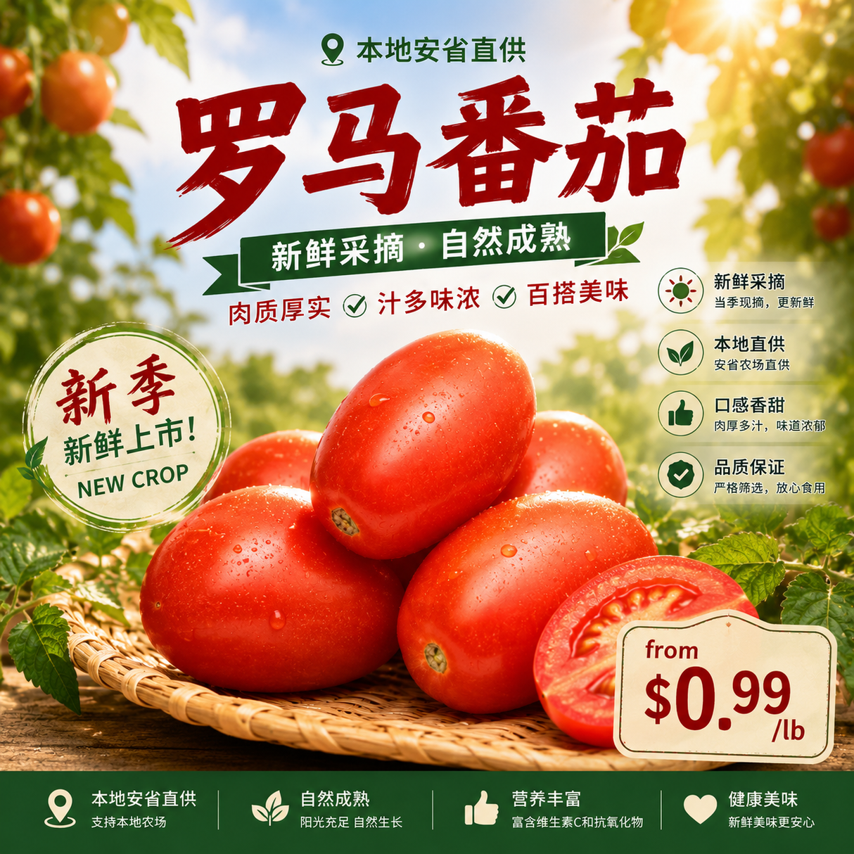 特价【本地】罗马番茄