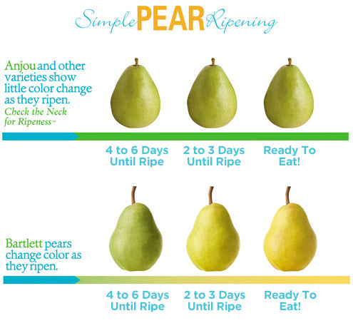 【Local】Bartlett Pears 10 pounds