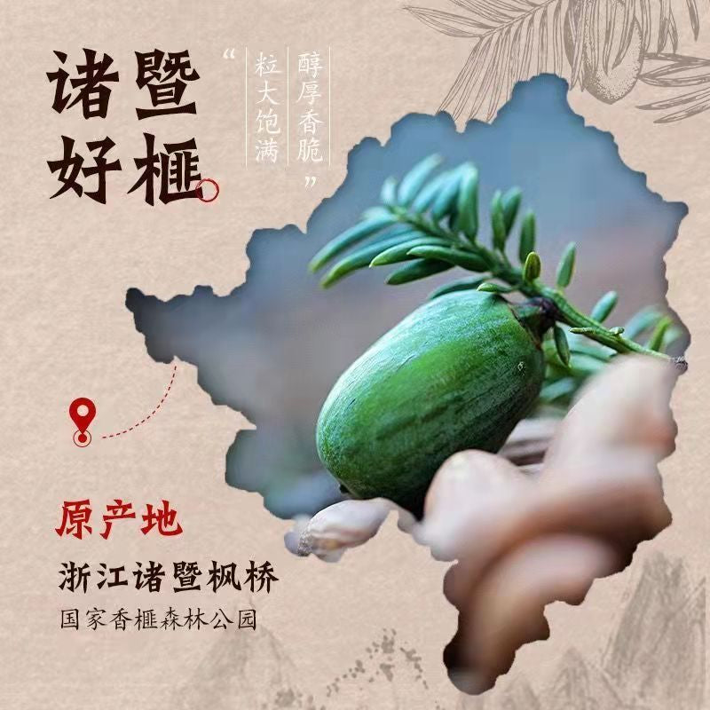 【Favored】Zhuji Torreya grandis 500g