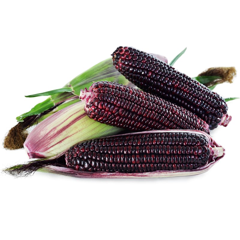 特价【本地】新鲜糯玉米 10根