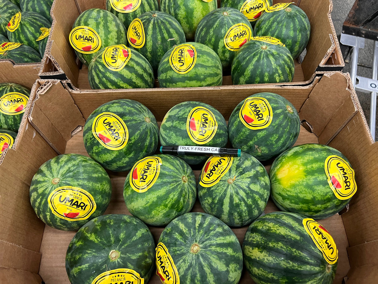 【美国】小西瓜