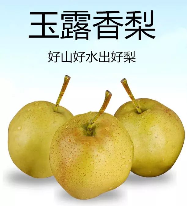 【隰县】玉露香梨