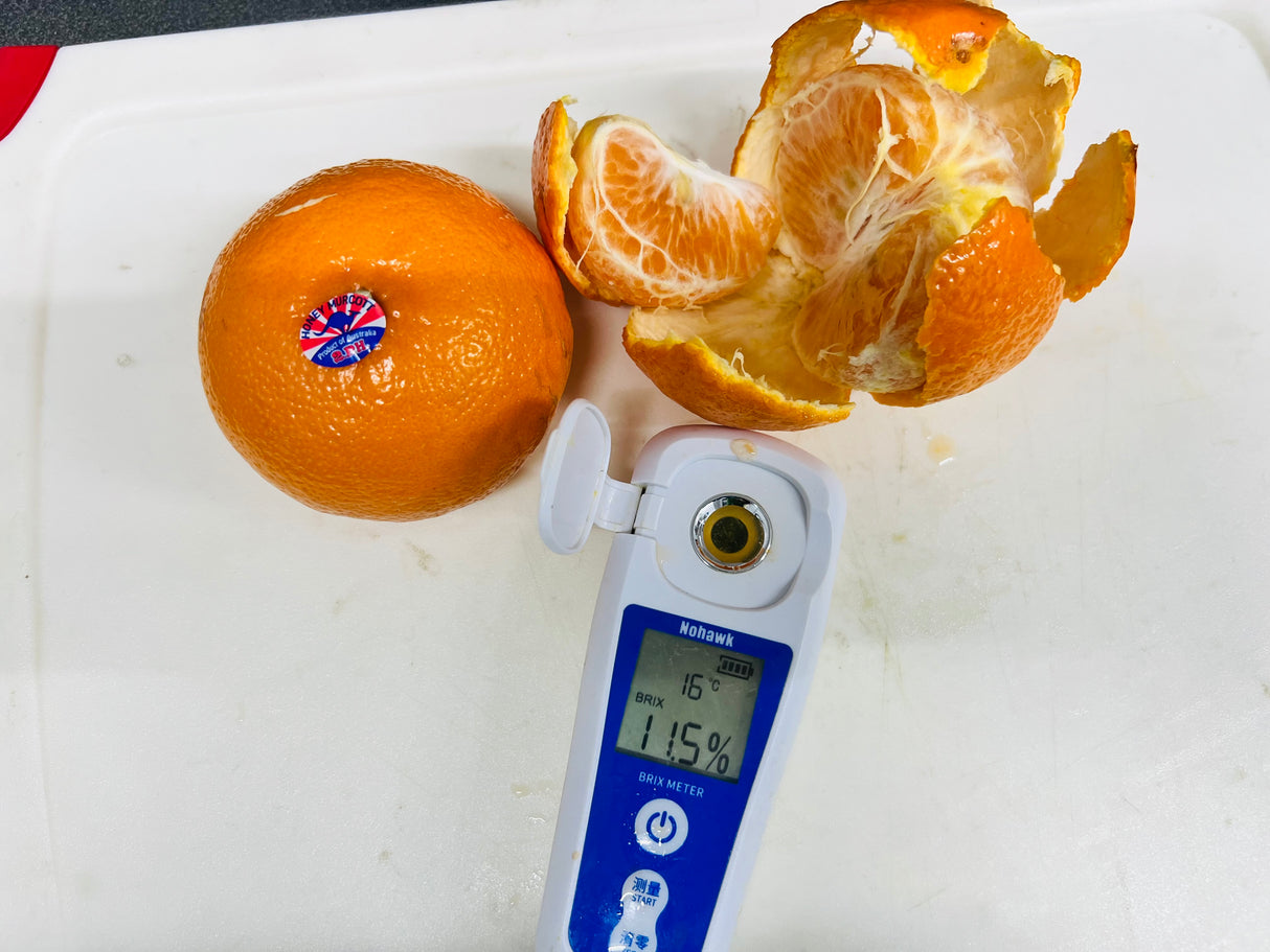 【2PH】澳洲无籽蜜柑