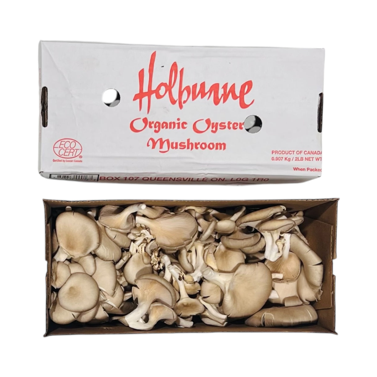 【本地】有機蠔菇1盒2磅