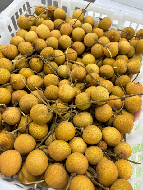 【Thailand】Longan 1 box 11 pounds