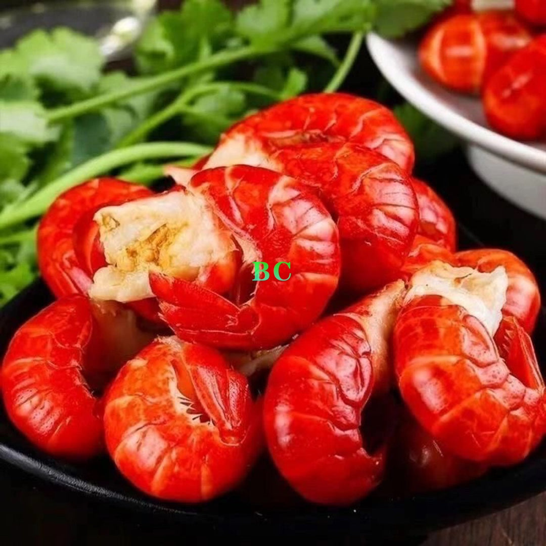 ❄️【China】IQF Lobster Tails (Big Pack)