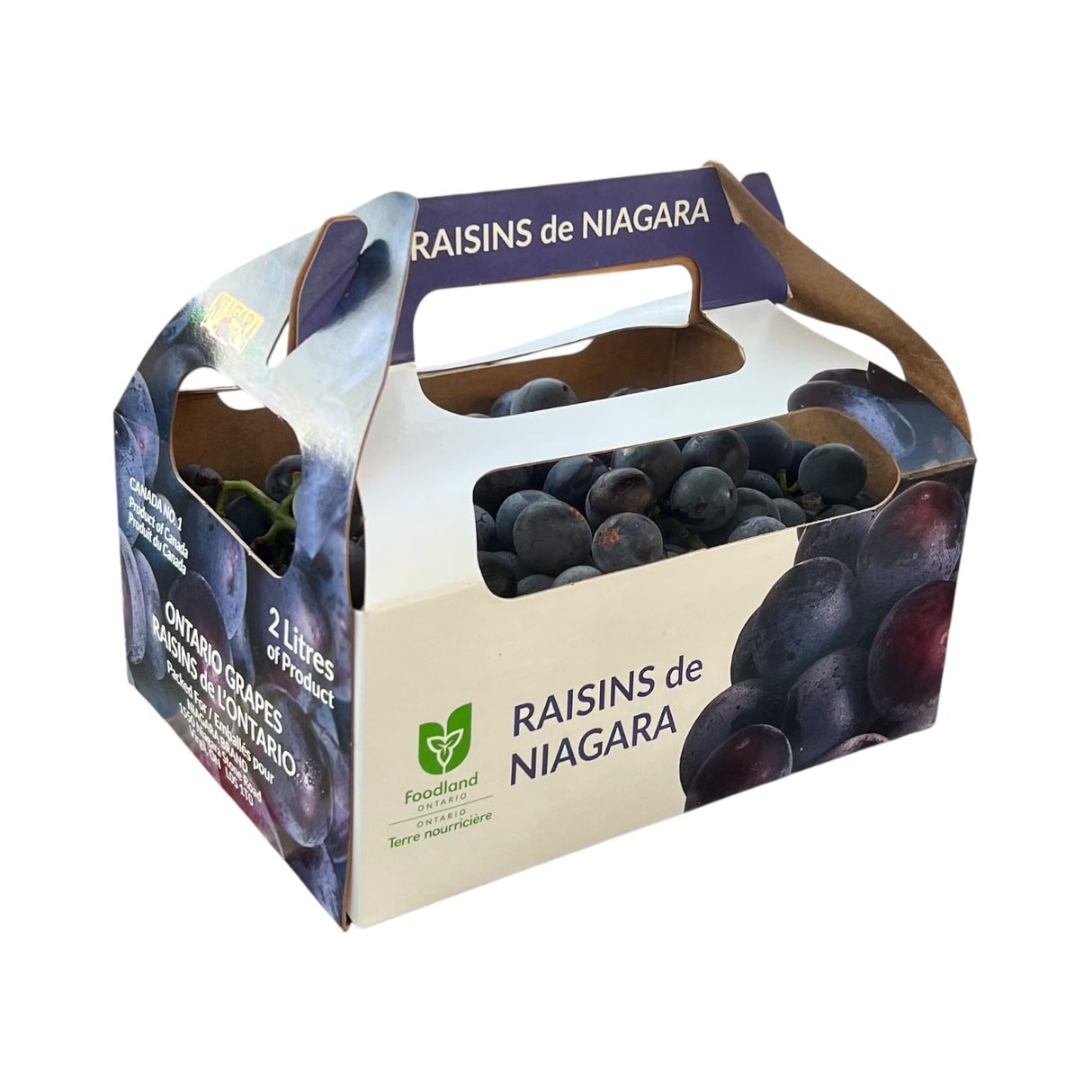 【本地】大瀑布无籽蓝葡萄