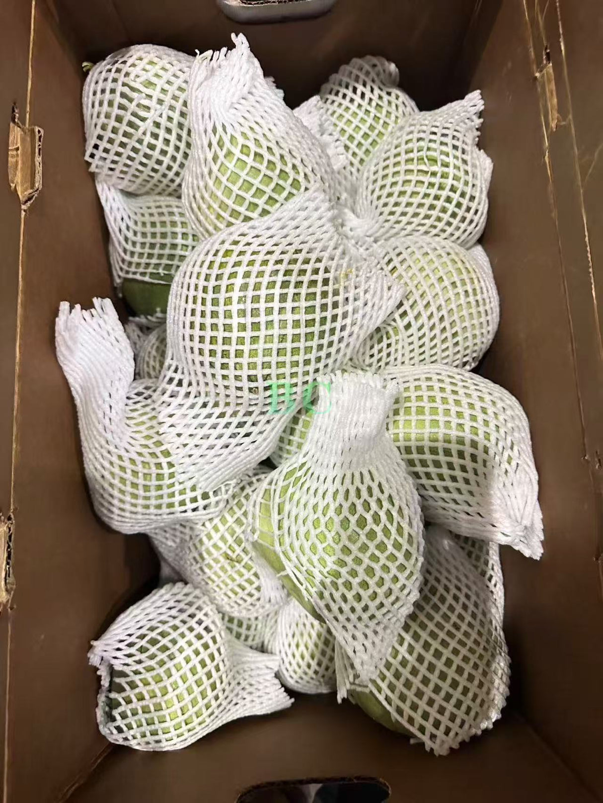 【Local】Emerald Honeydew Melon 5 pounds