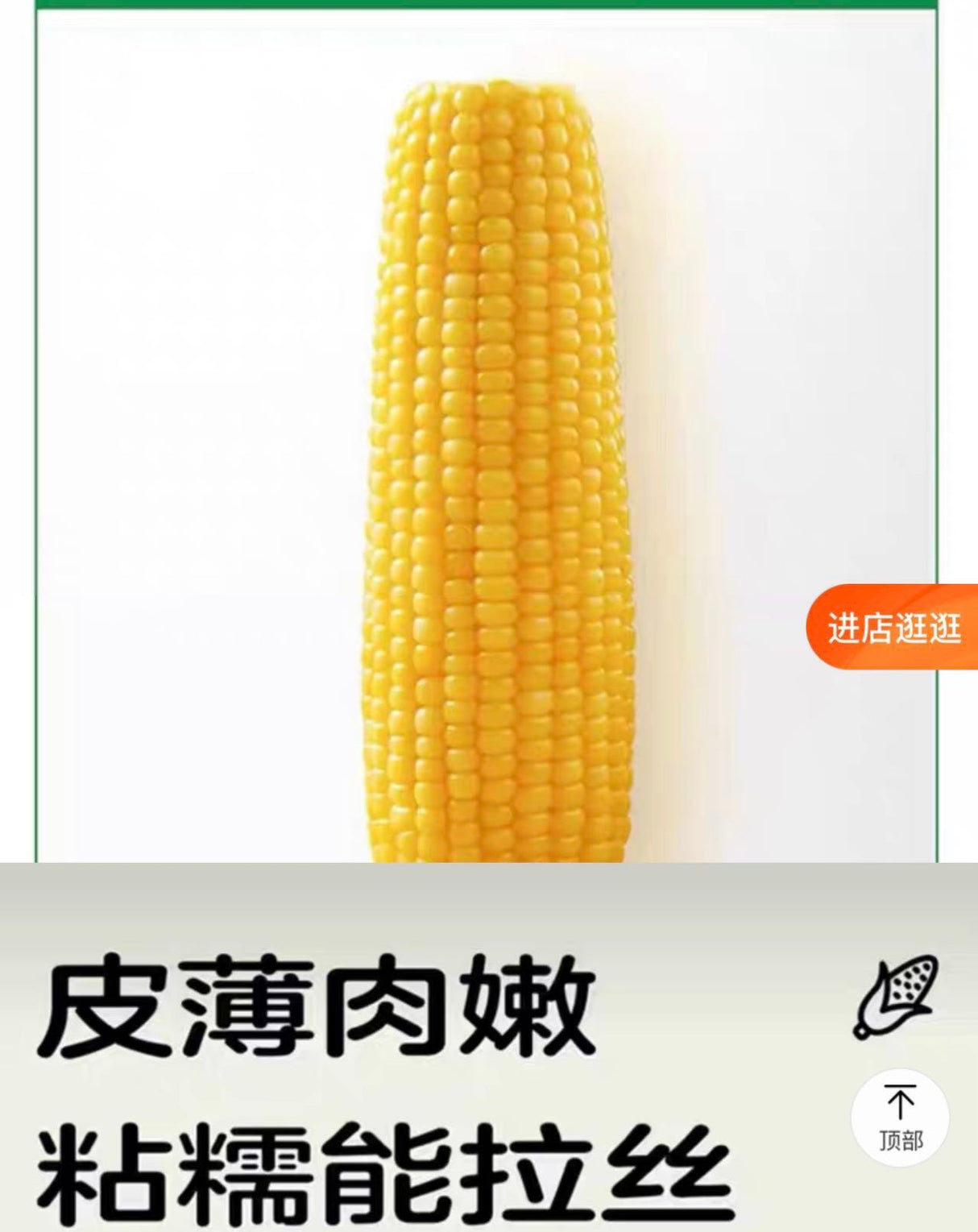 【十月稻田】黄糯玉米