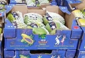 【巴西】空运桑巴木瓜 1箱4.5公斤