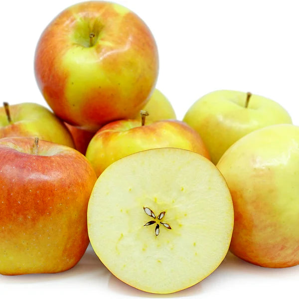【Local】Shenxian Apple 10 pounds