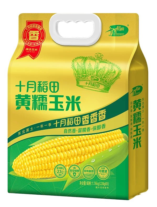 【十月稻田】黄糯玉米