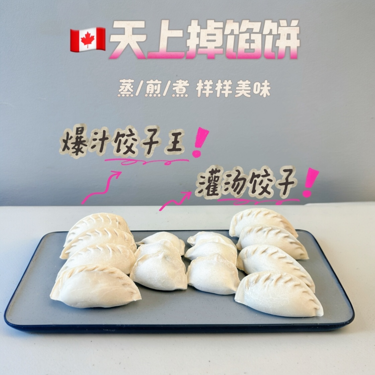 ❄️【Pie in the sky】 Dumplings 2.5 pounds*2