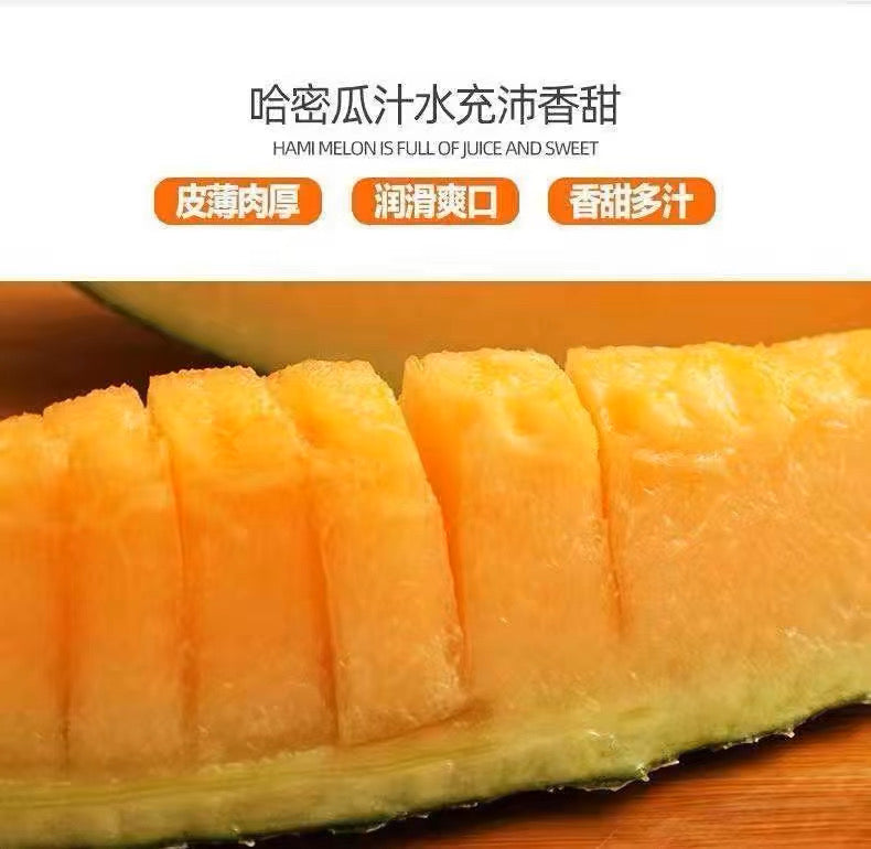【HAMI】哈密瓜