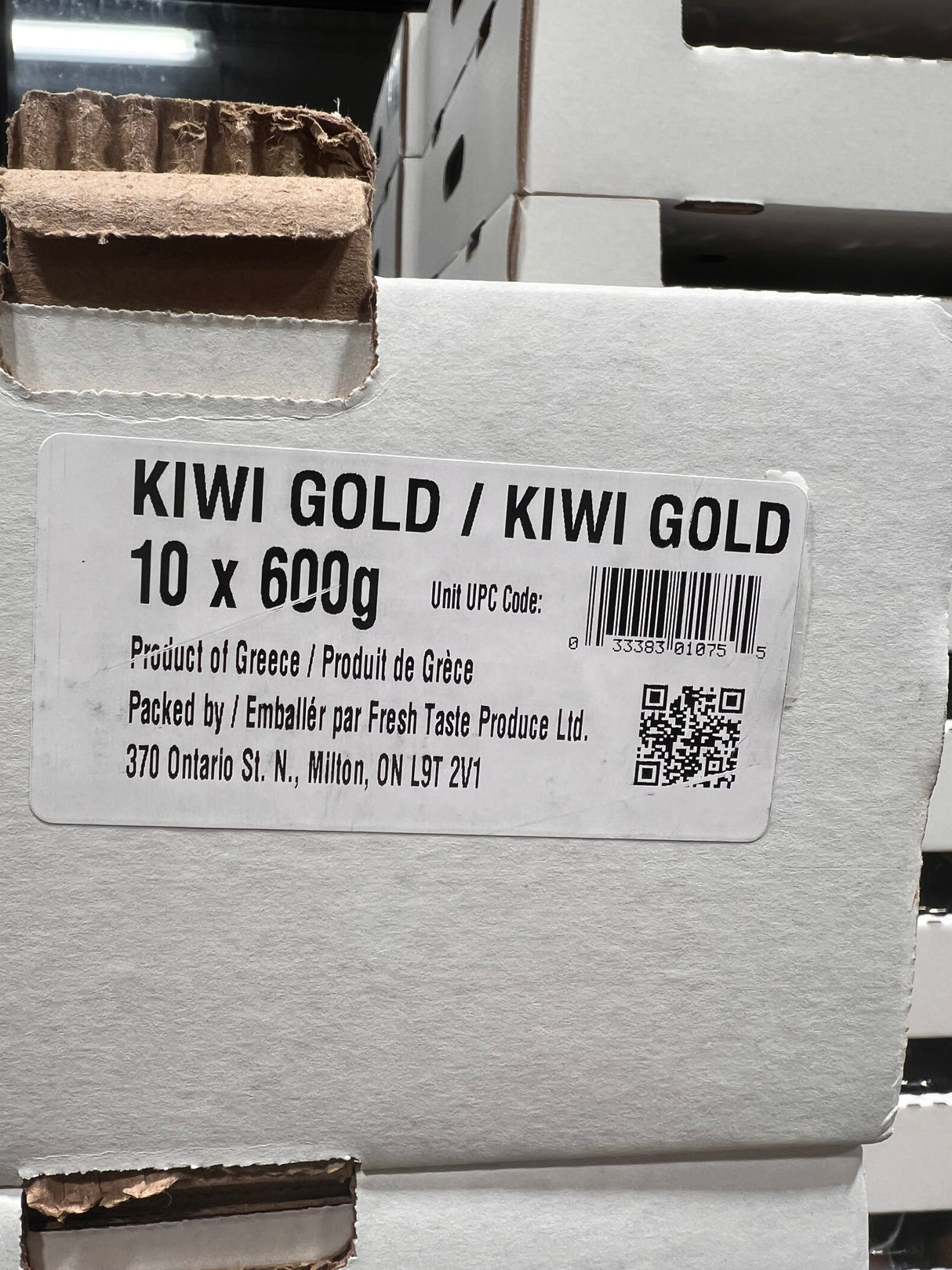 【JINGOLD】黄金猕猴桃