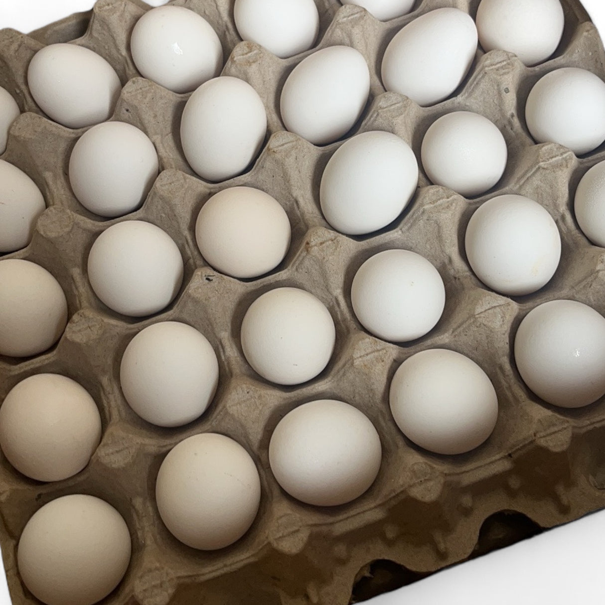 【Local】Black Chicken Eggs Pee Wee 1 Box 180 Pieces