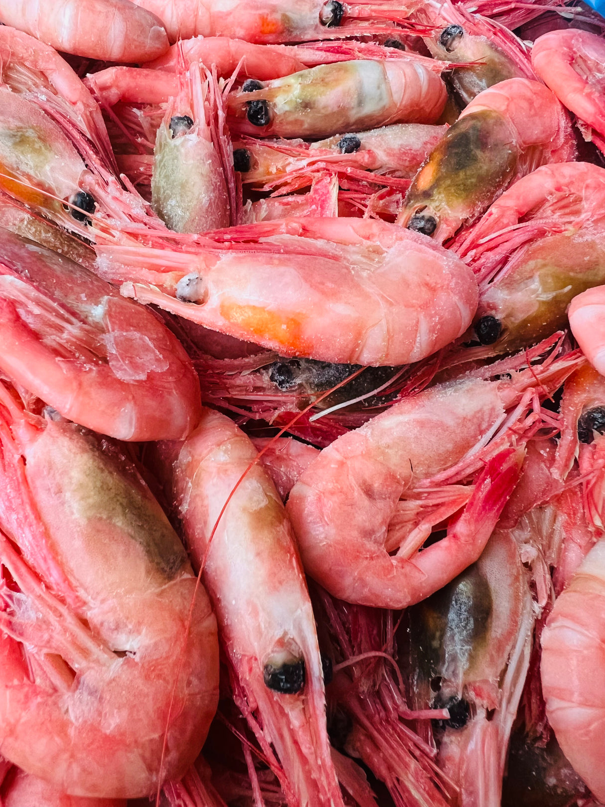 ❄️【Canada】Arctic Sweet Shrimp 1 box 11 pounds