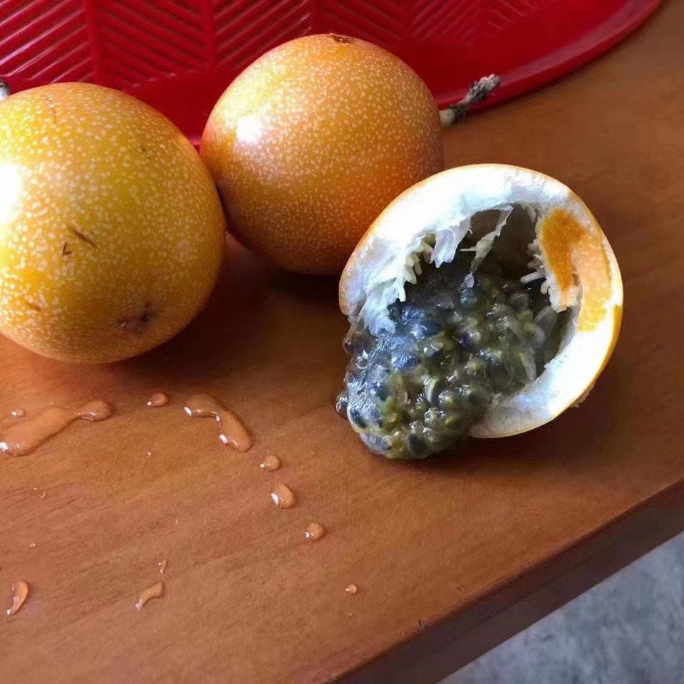 【Ecuador】Top 10 Passion Fruits