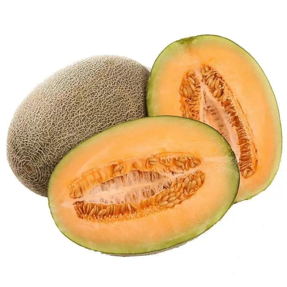 【HAMI】哈密瓜