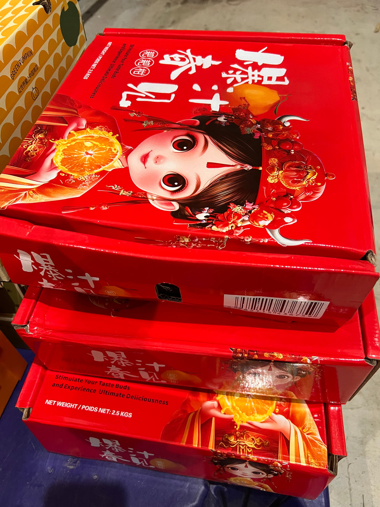 【中国】春见耙耙柑