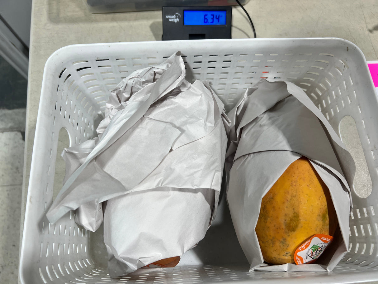 【墨西哥】牛奶木瓜