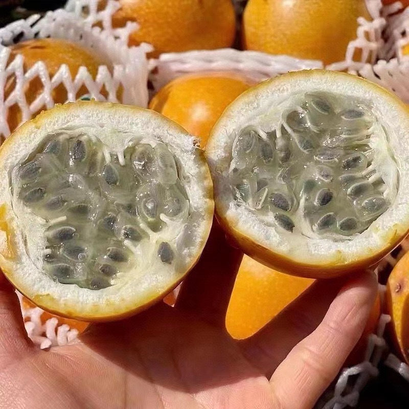 【Ecuador】Top 10 Passion Fruits