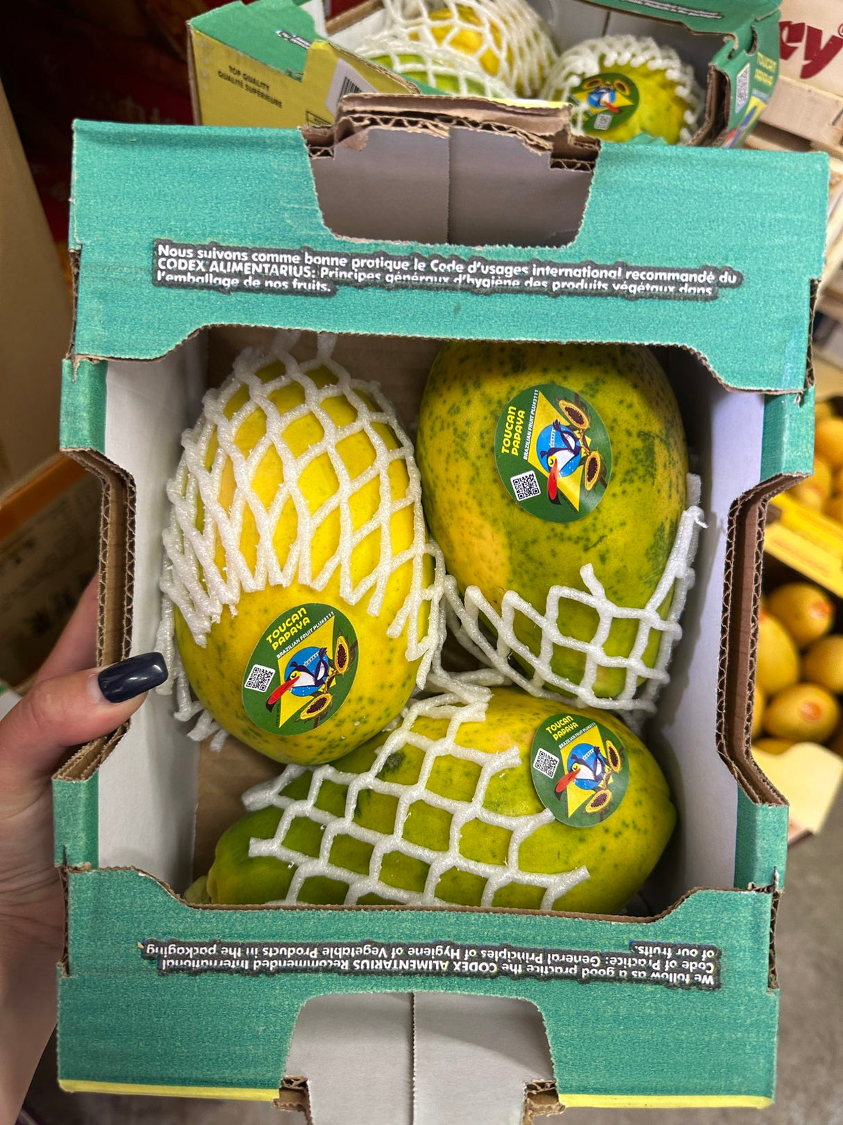 【Brazil】1 box of 1.8 kg papaya