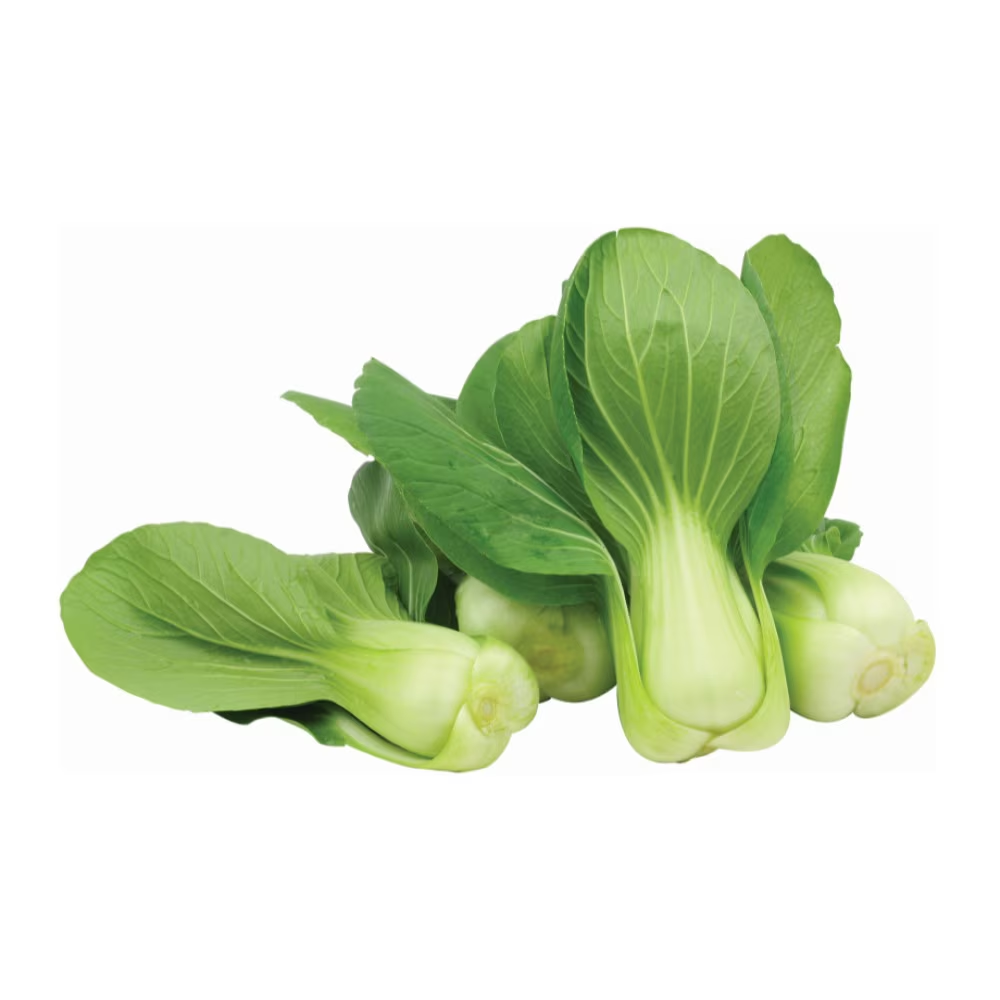 【墨西哥】新鲜上海苗