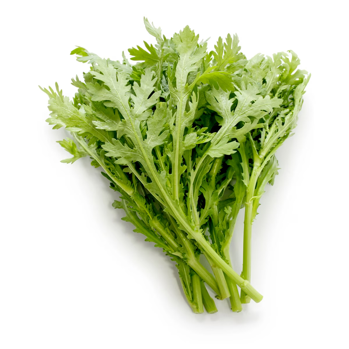 Fresh Chrysanthemum Greens from Mexico