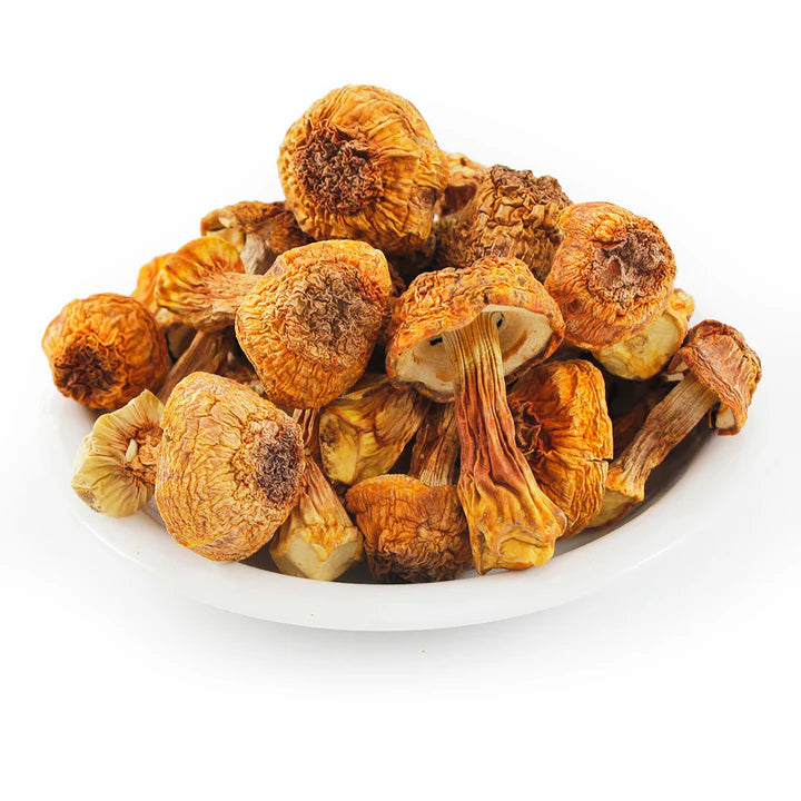 【China】Agaricus Blazei 1 pound